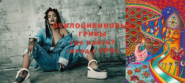 прущая мука Богданович