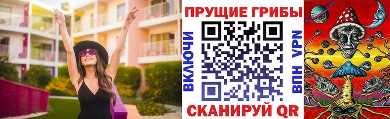 Псилоцибиновые грибы Psilocybine cubensis  Туапсе 